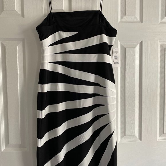 Black and White Fitted Dress - Picture 1 of 2